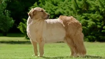 Flonase TV Spot, 'Most Pills Don't Finish the Job'